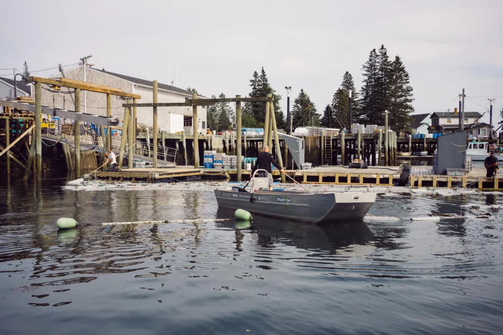 Man in an electric skiff backing into a dock