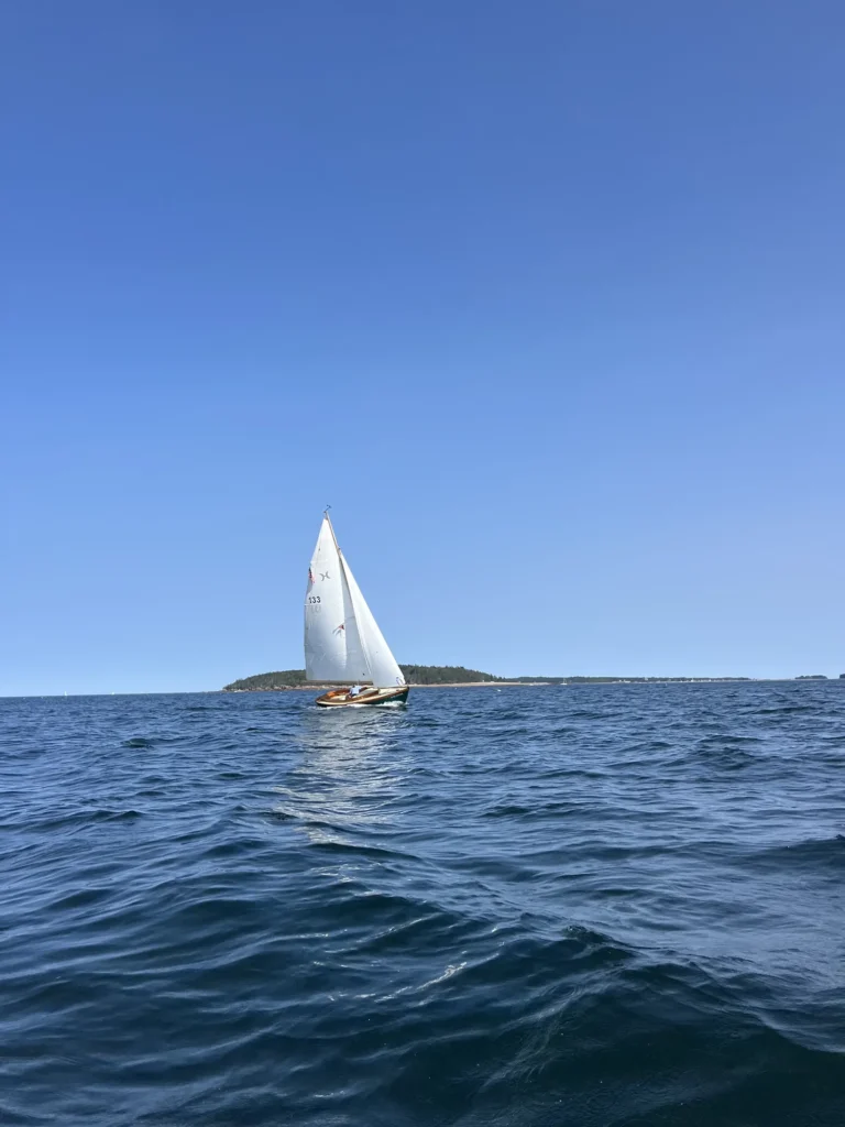 PISCES 21 Electric Yacht Inboard